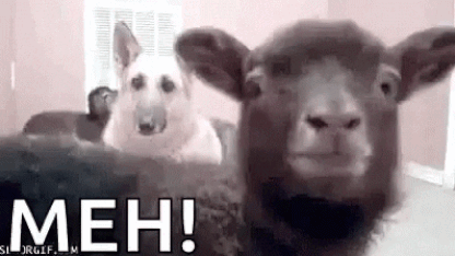 Love Litigating Lawyers Day -- August 31