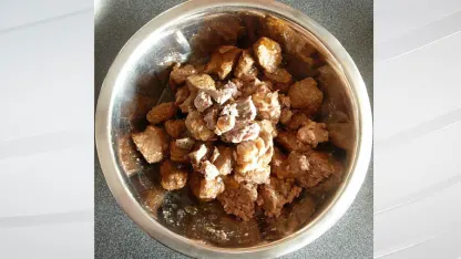 FDA Dog Food Investigation