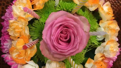 Hey, all you miserable “@carl669-favorite-word-ers”!!!!