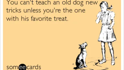 Sometimes you can't teach a new dog old tricks...