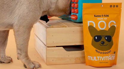 8-Pack: Kenn & Kitt Vet-Formulated Dog Treats