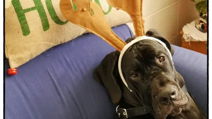 Dear Santa Meh thread update