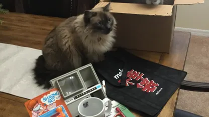 For those that didn't get a Fuko