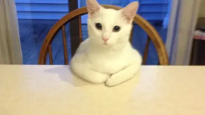 Congratulations (and some sympathy) to the newest volunteer mod