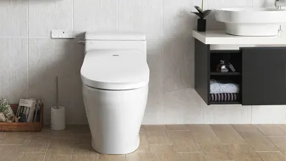 BioBidet Good/Better/Best Bidet Bonzana