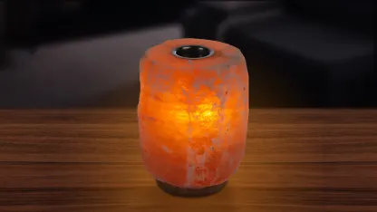 Evolution Salt Co. Himalayan Salt Lamp with Essential Oil Diffuser