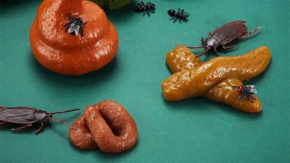 8-Piece Fake Doo-doo