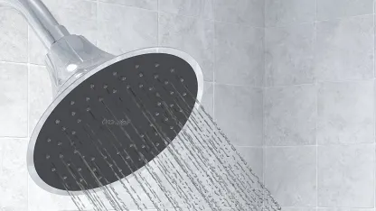 Brondell VivaSpring Filtered Shower Head