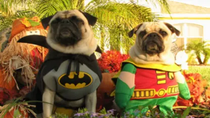 The best superhero duo ever is: