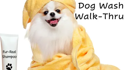 Admire my furry piranha!