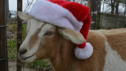 Happy Holidays December Scapegoat