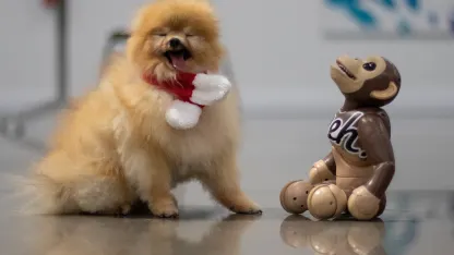 Your long awaited Mehrry Monday Muppet