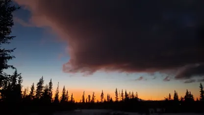 The worst part of winter: