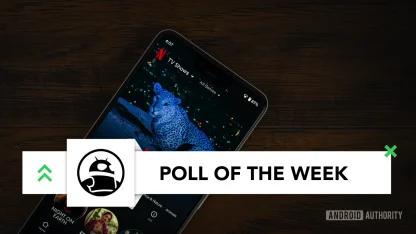 If you had to choose only one streaming service, what would it be: