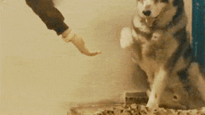 Mistress GoaT - June 27th