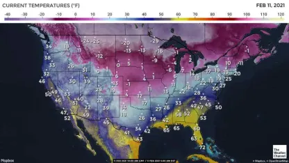 polar vortex winter 2021