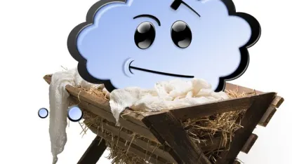 Not Quite Mad Ape Den