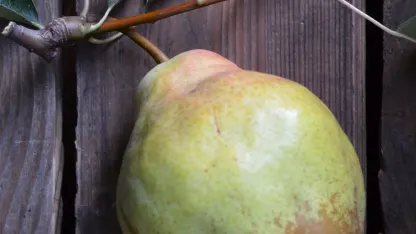 I'm saying..I've sent stuff on the discuss my rad purchase thing...