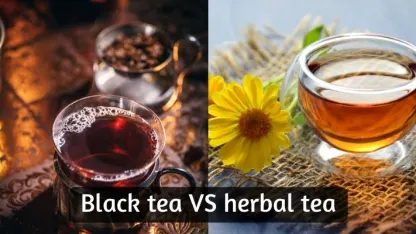 Herbal tea vs. black tea: {Necropost}