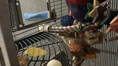 No it's not a ping pong ball