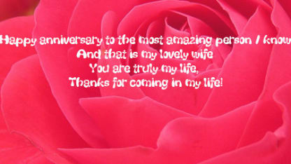 Happy Anniversary to my amazing wife!