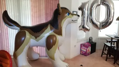 Fenris is 10 years old!