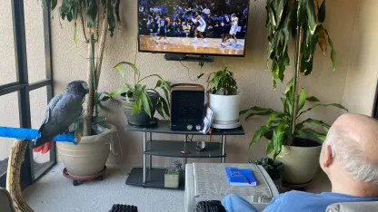 Do you watch sports with your pet?