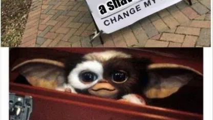 Some memes and pics that kinda amused me...