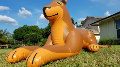 Inflatable of the Day 4/16