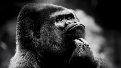 TIL: Cunningham's Law