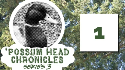 Possum Head Chronicles Season 4: RECORD PLAYER EDITION?