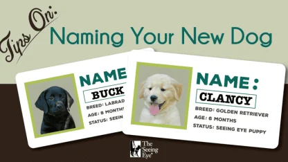 What’s the best way to name a dog?