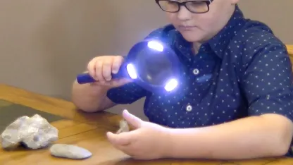 2-Pack: LitezAll COB LED Lighted Magnifier