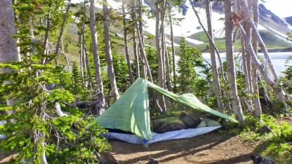 About how many nights a year do you spend camping?