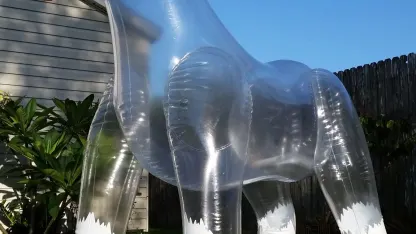 Inflatable of the Day 4/24