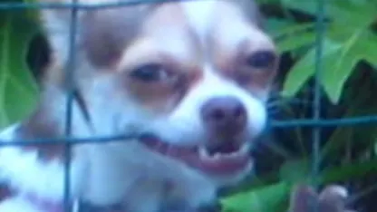 Yes, I know your streak is longer than mine