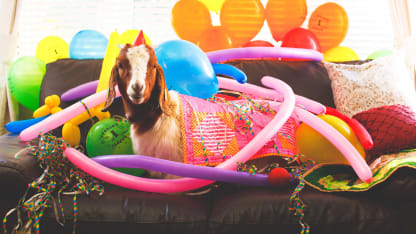 It's Your Birthday... and Your Fault! (September 2018 Blame Thread)