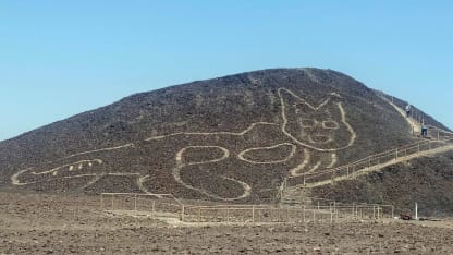 up for adopting a 2000+ year old cat?  : )