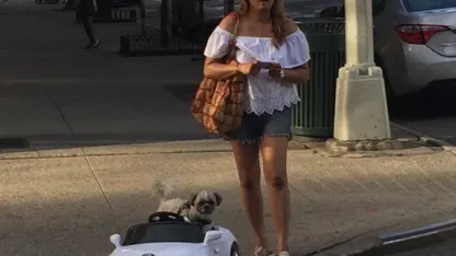 Now I've seen it all.