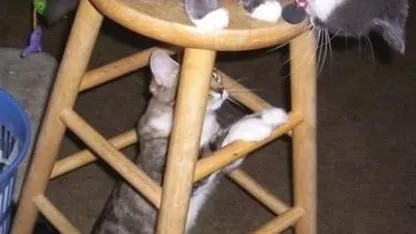 Meh.com - Mom Approved