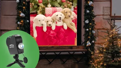 1 or 2-pack: Window Wonderland Deluxe Indoor Holiday Projector