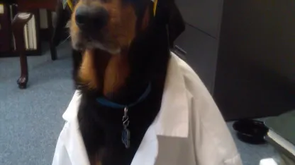 A baby. A doggy. OMG the cuteness! It's SCIENCE!!