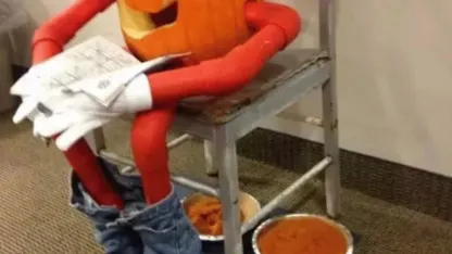 Where pumpkin spice comes from.