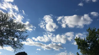 Reprise: Fluffy Little Clouds