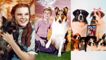 Favorite canine actor: