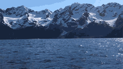 Cool new GIF maker app from Google Research