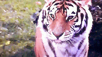 What Medicore Lab. should do to be a big time company