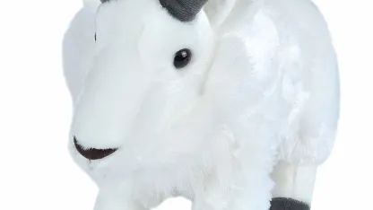 Toy/Tool Goat, ask me anything