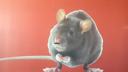Name our huge rat