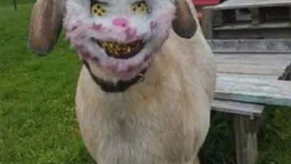 2spoopy5goat - October 2019 Scapegoat Blame